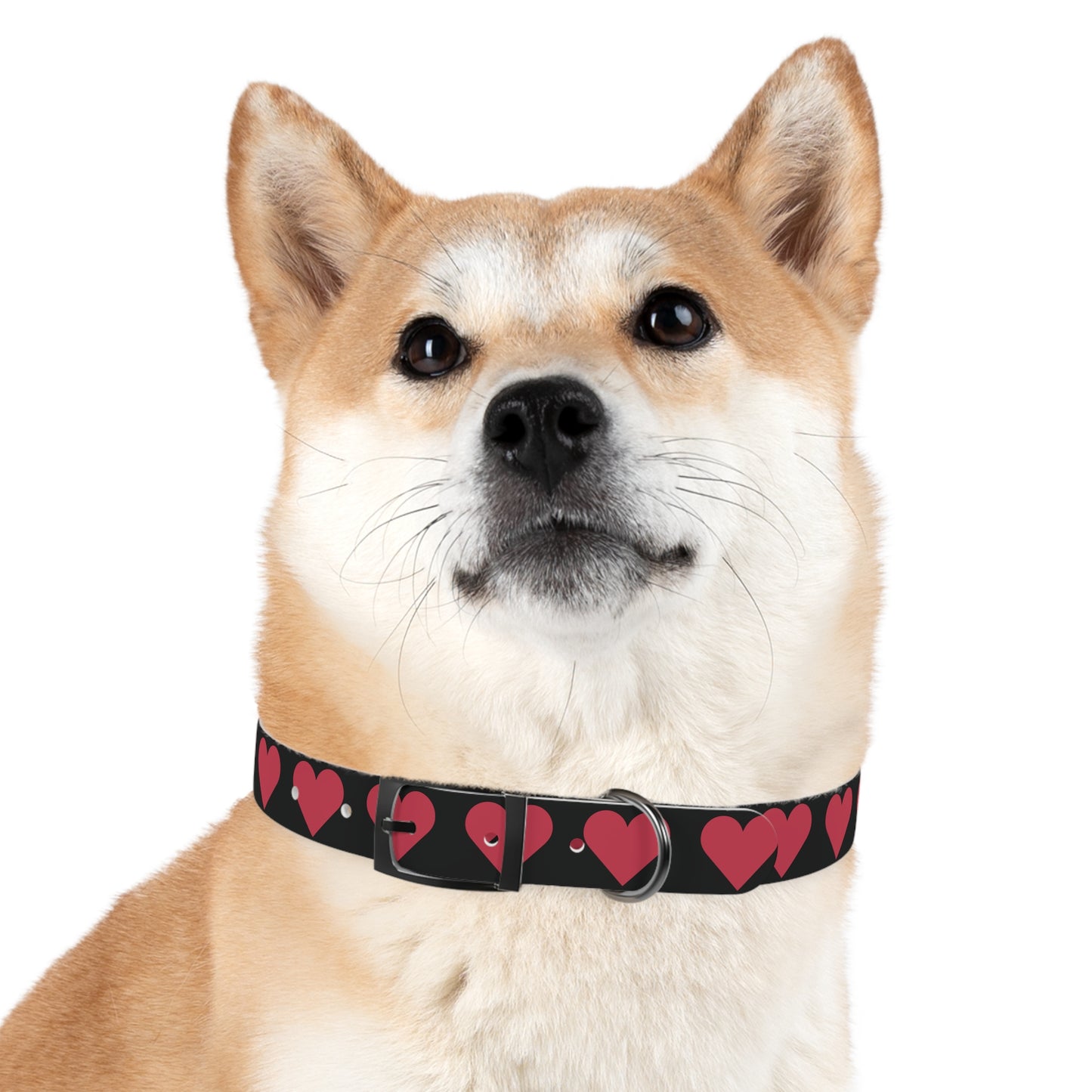 Dog Collar - Customizable Valentine Heart Collar