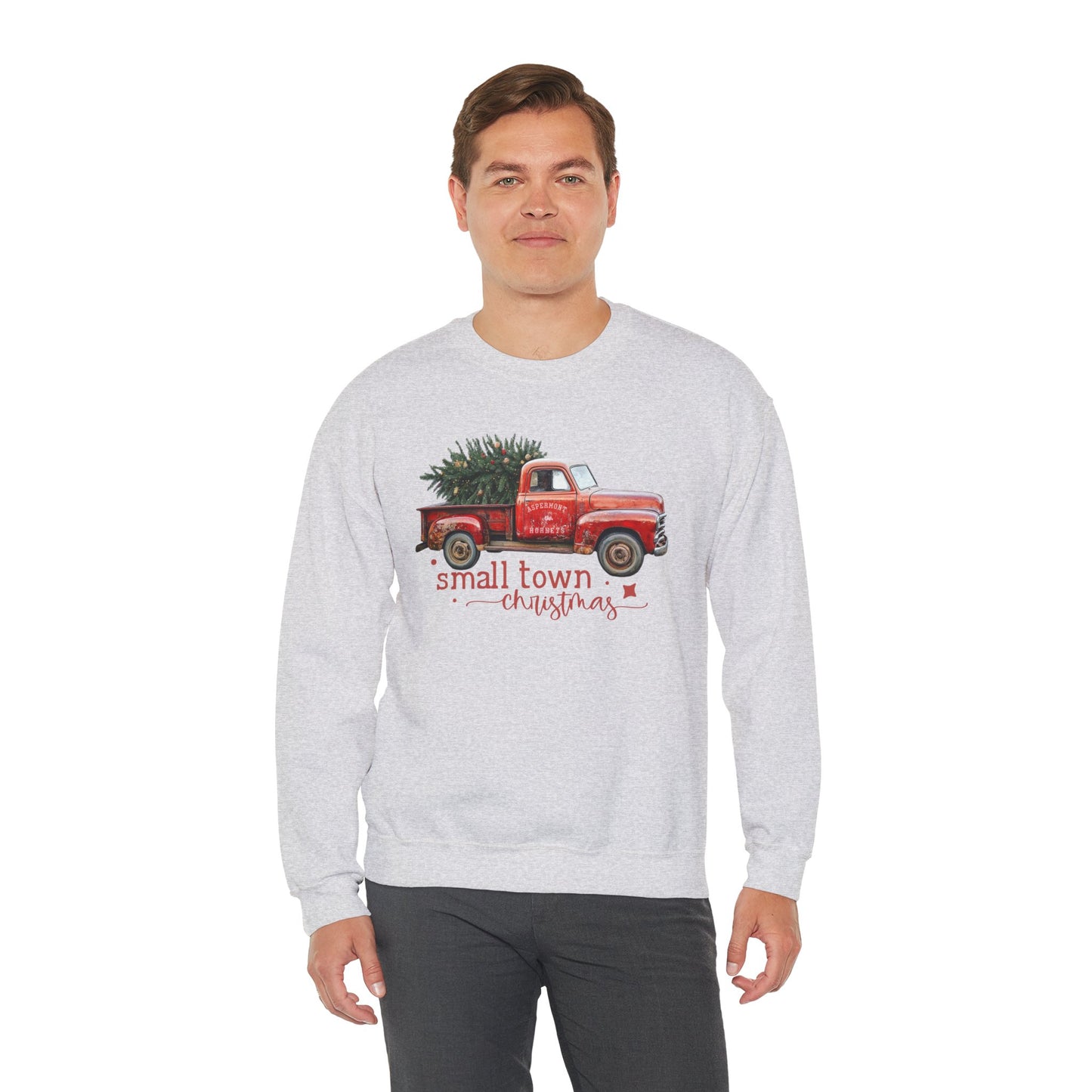 Aspermont, TX Hornet Small Town Christmas Sweatshirt