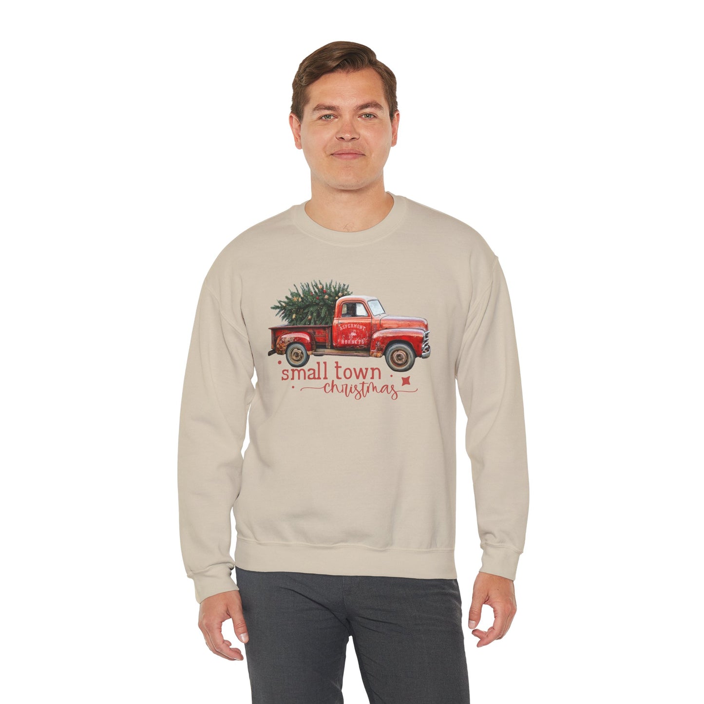 Aspermont, TX Hornet Small Town Christmas Sweatshirt