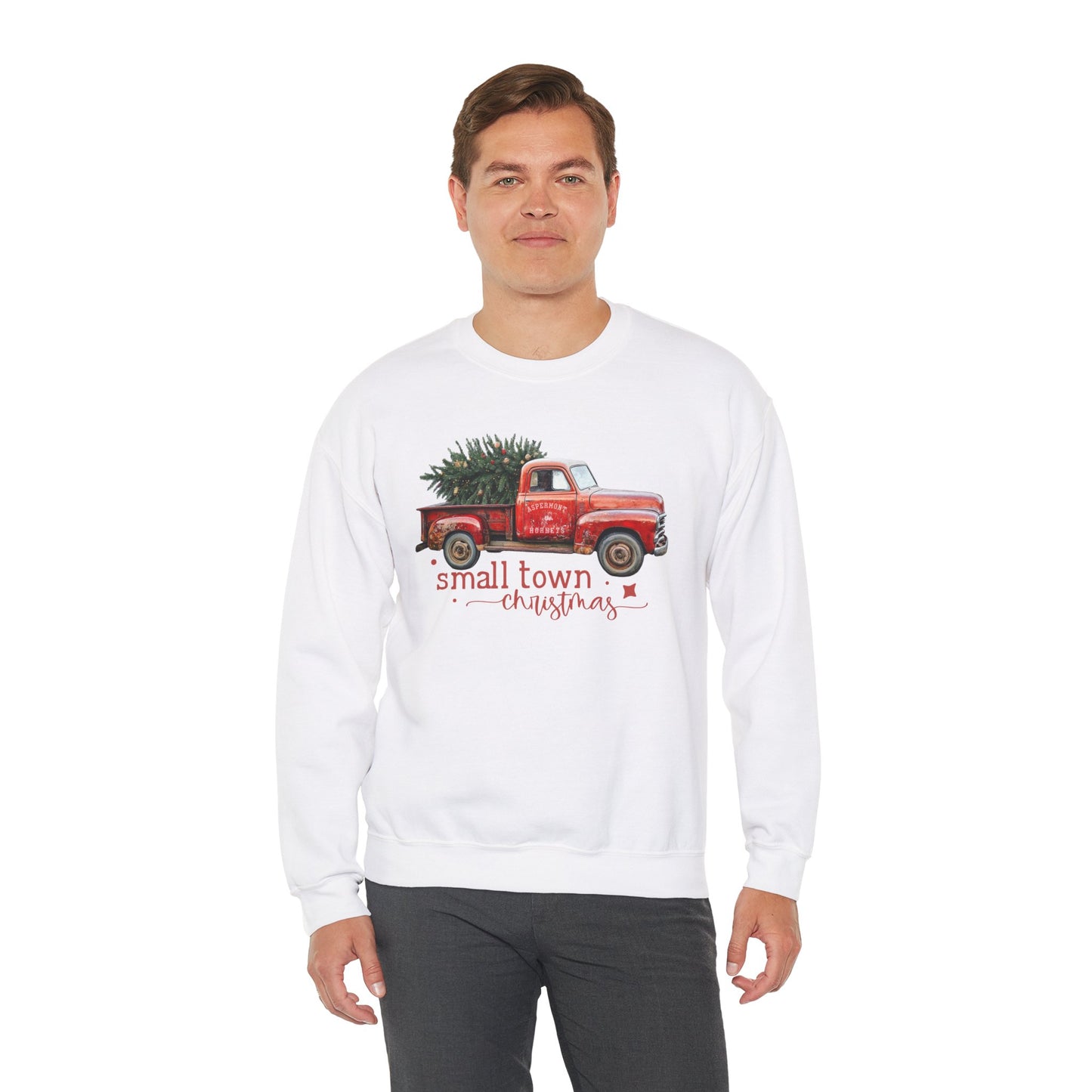 Aspermont, TX Hornet Small Town Christmas Sweatshirt