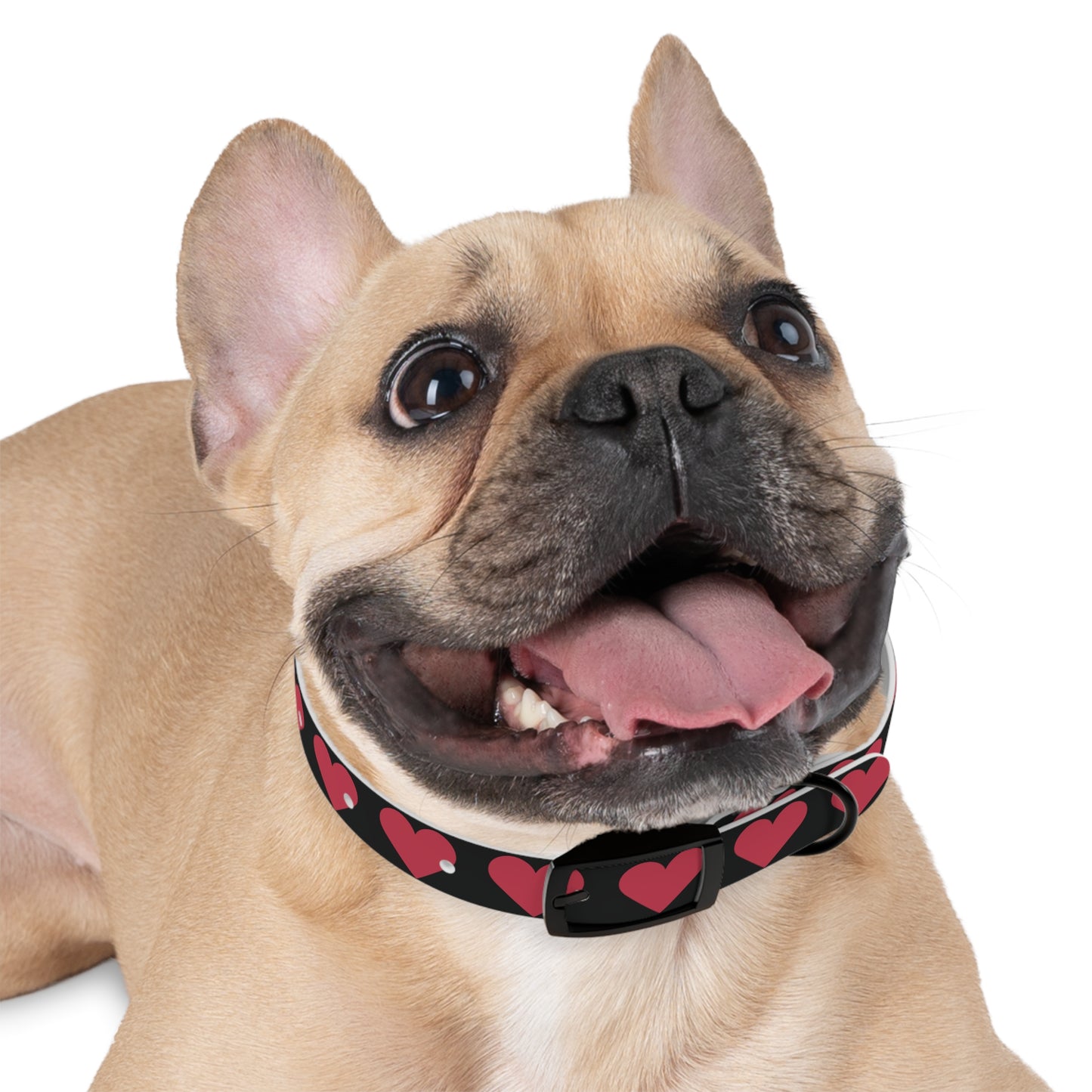 Dog Collar - Customizable Valentine Heart Collar