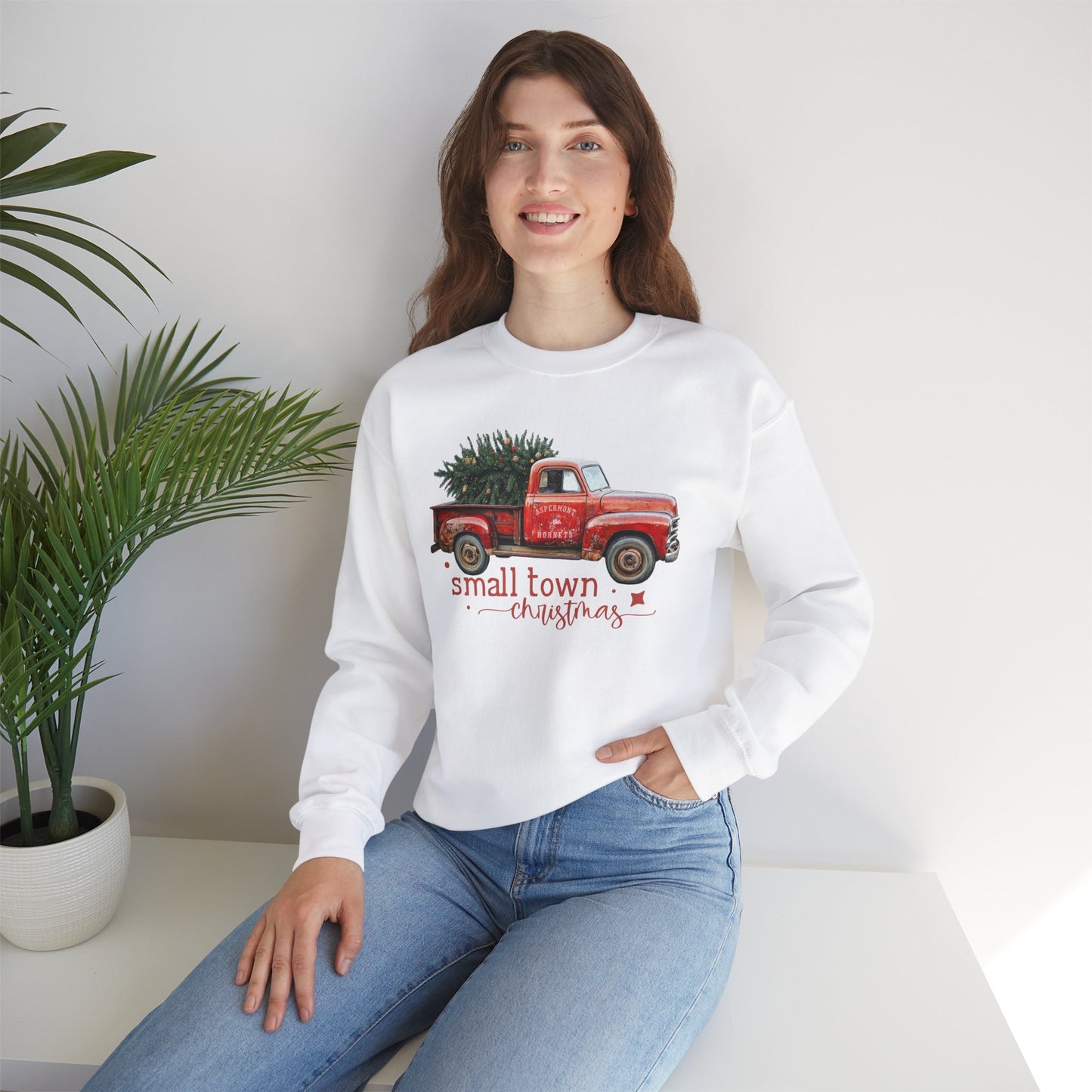 Aspermont, TX Hornet Small Town Christmas Sweatshirt