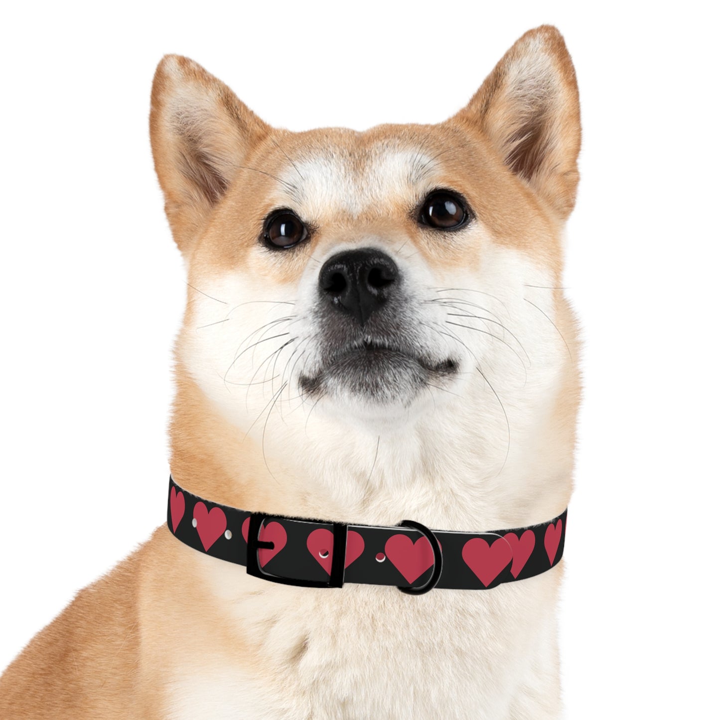 Dog Collar - Customizable Valentine Heart Collar