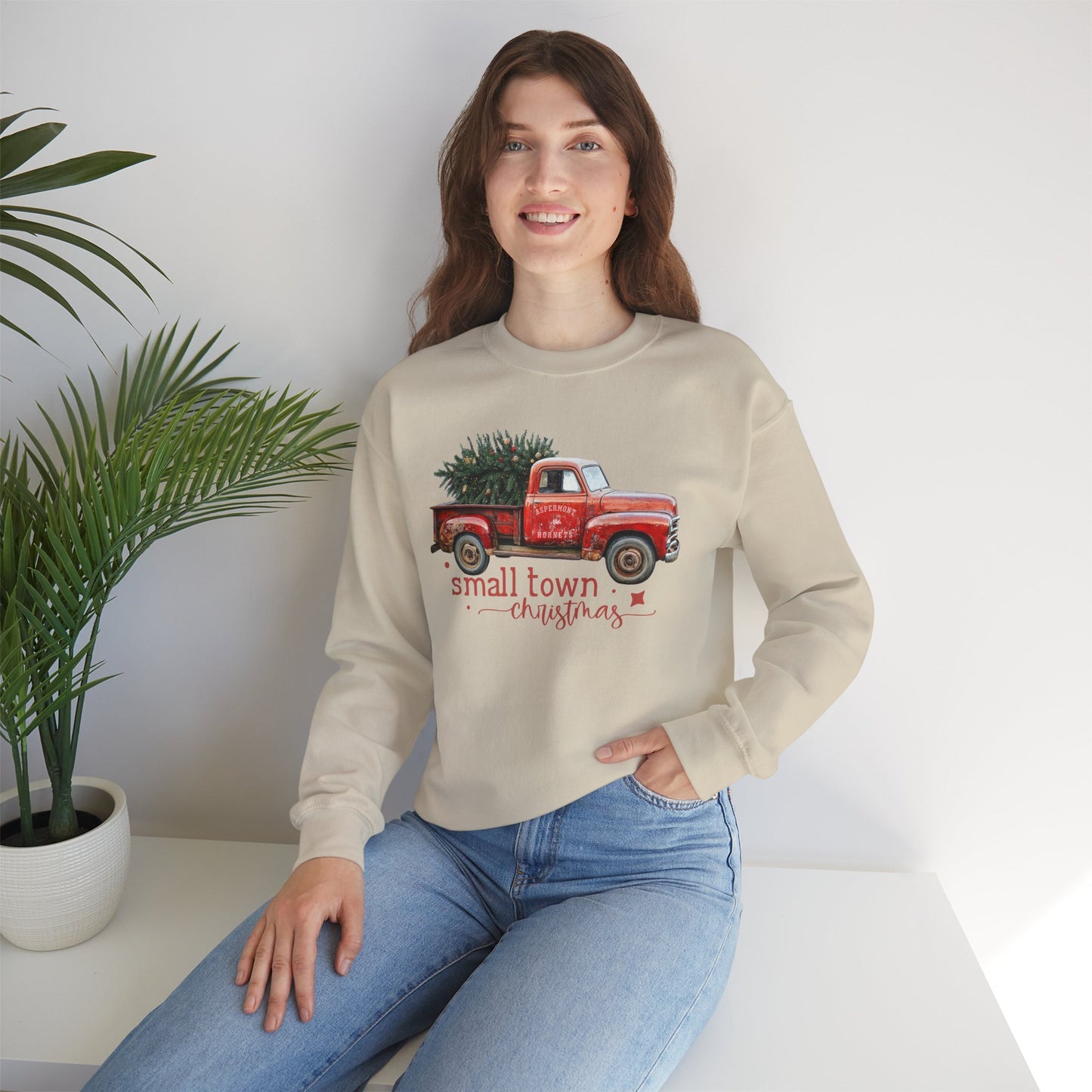 Aspermont, TX Hornet Small Town Christmas Sweatshirt