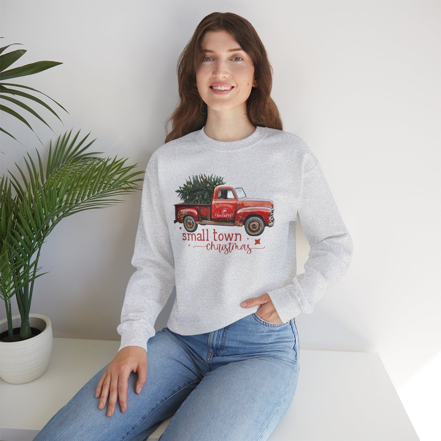 Aspermont, TX Hornet Small Town Christmas Sweatshirt