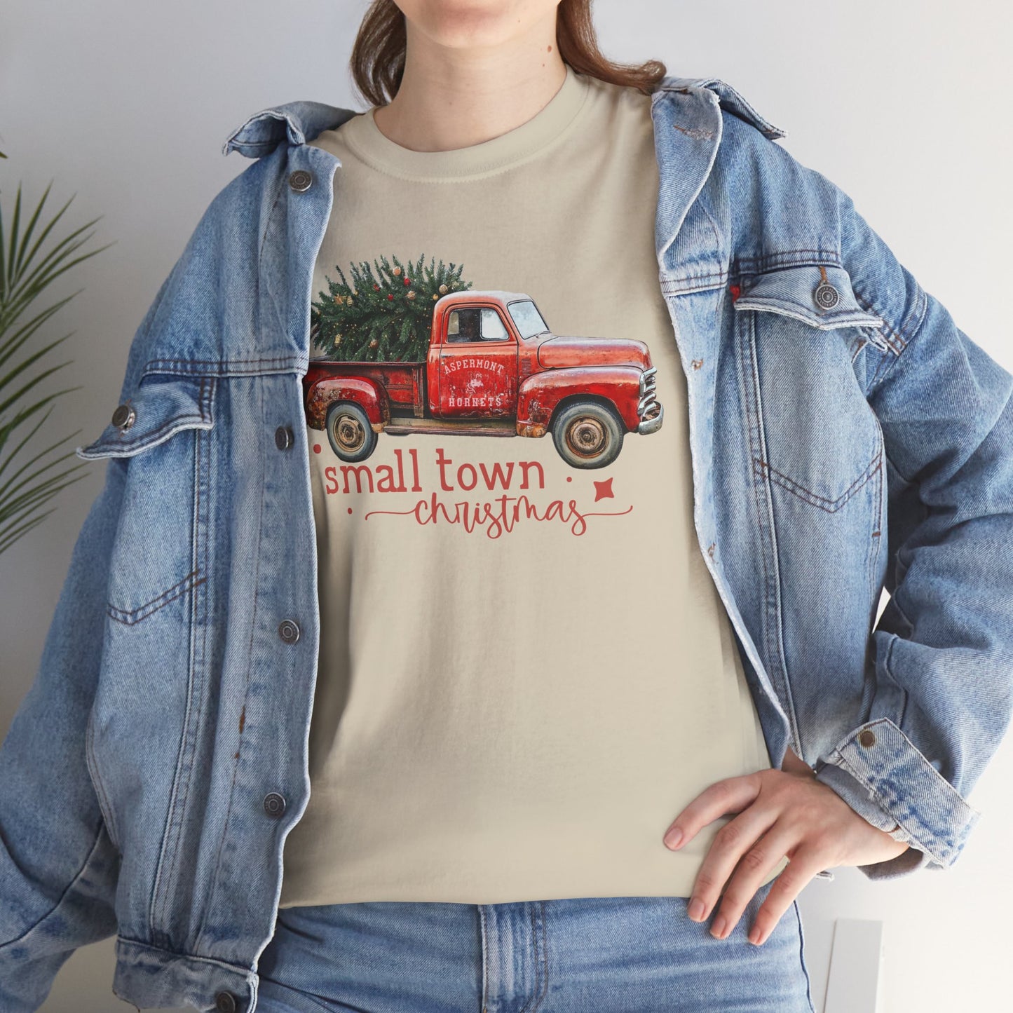 Aspermont, TX Hornet Small Town Christmas Tee