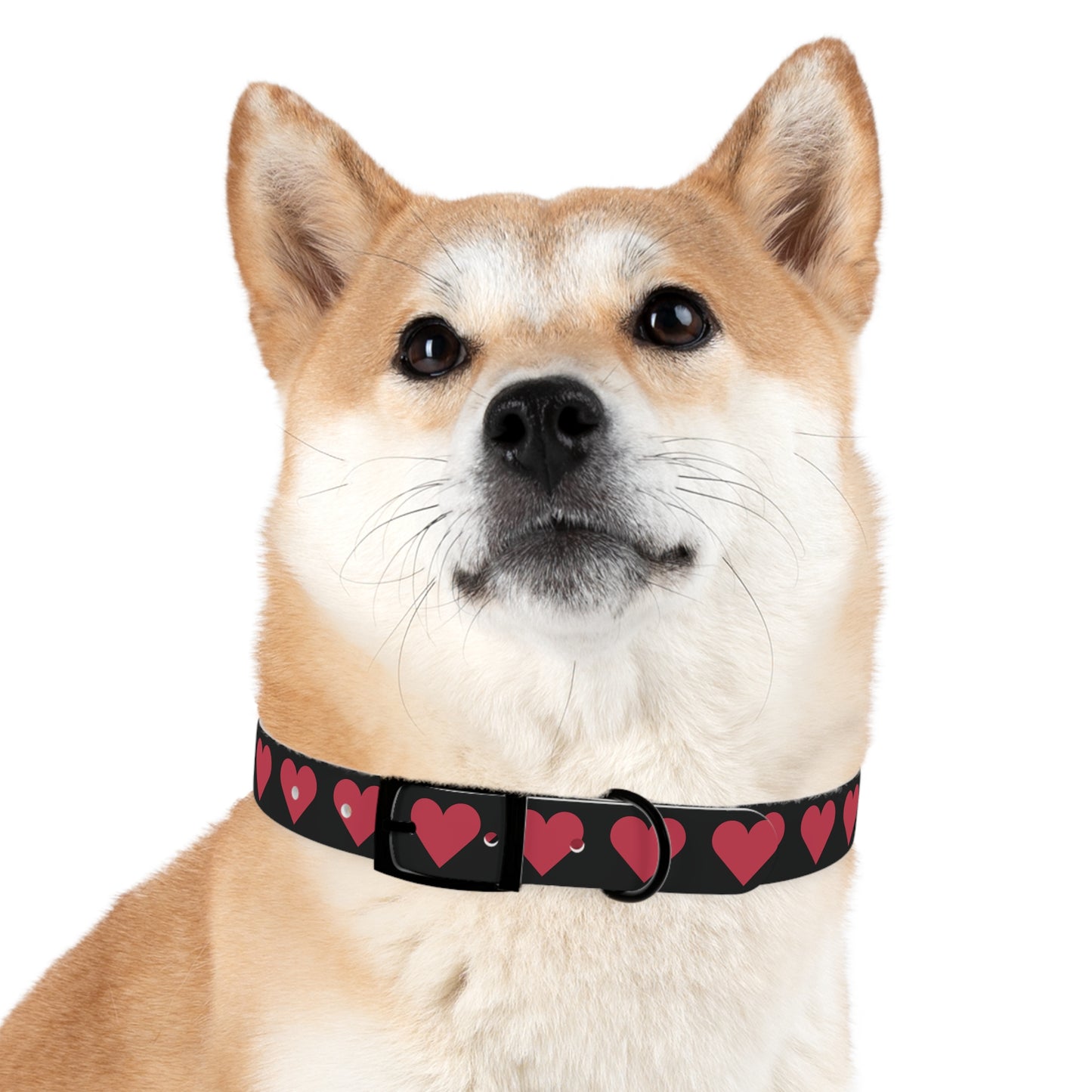 Dog Collar - Customizable Valentine Heart Collar