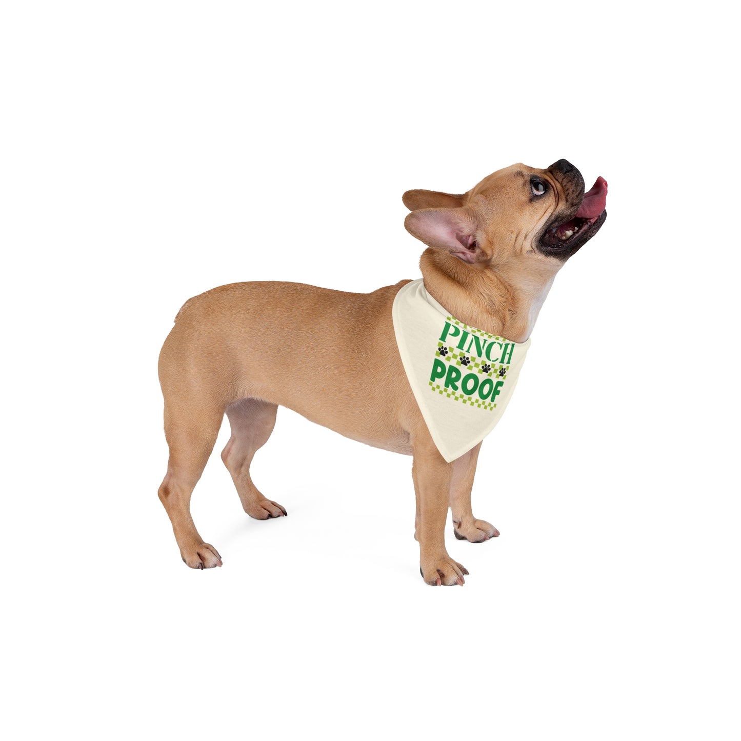 Pet Bandana - "Pinch Proof" St. Patrick's Day - Motor Girl Boutique