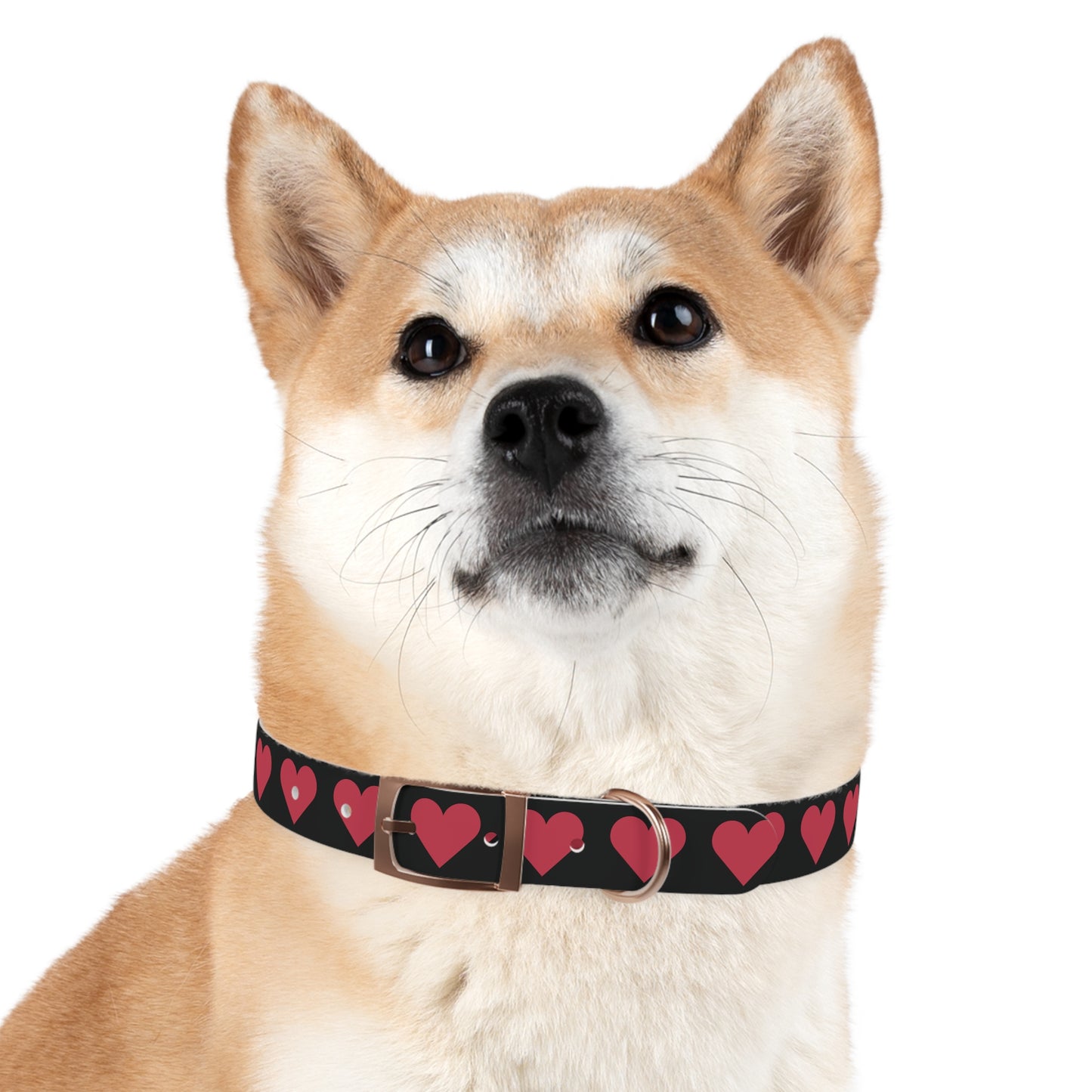 Dog Collar - Customizable Valentine Heart Collar